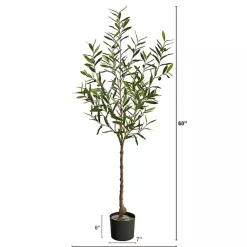 Trees & Topiaries>Kirklands Home Italian Olive Tree in Black Nursery Planter, 5 ft.