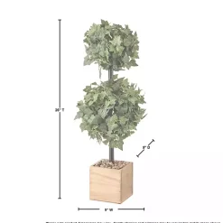 Trees & Topiaries><noscript><img width=
