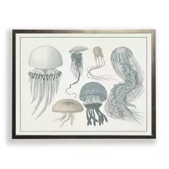 Kirklands Home Jellyfish Collage Bronze Framed Art Print Hot