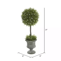 Trees & Topiaries>Kirklands Home Juniper Ball Tree in Pedestal Urn