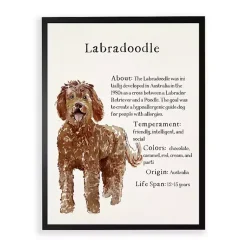 Kirklands Home Labradoodle Facts Framed Wall Plaque Sale