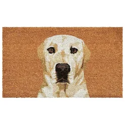 Kirklands Home Labrador Retriever Doormat Best