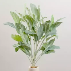 Stems & Bouquets>Kirklands Home Lamb's Ear Bundles, Set of 2 Green