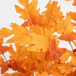 Fall><noscript><img width=