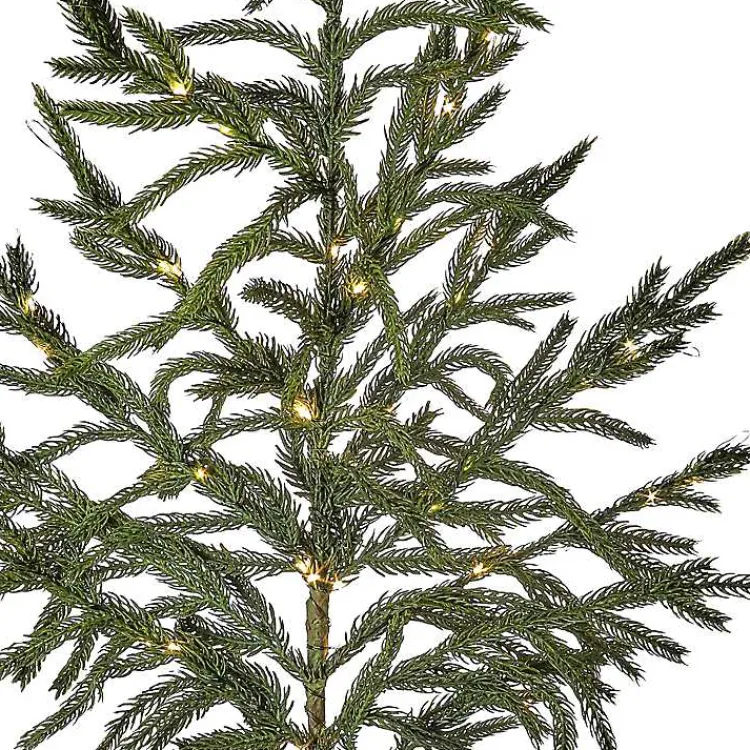 Christmas Arrangements & Garland>Kirklands Home LED Natural Touch Norfolk Pine Spray Green