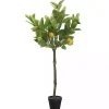 Trees & Topiaries>Kirklands Home Lemon Fruit Tree in Black Pot