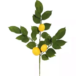 Stems & Bouquets>Kirklands Home Lemon Leaf Spray Stems, Set of 4