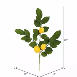 Stems & Bouquets><noscript><img width=