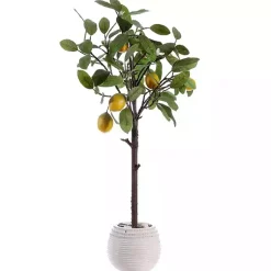 Trees & Topiaries>Kirklands Home Lemon Tree in White Pot