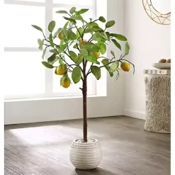 Trees & Topiaries>Kirklands Home Lemon Tree in White Pot