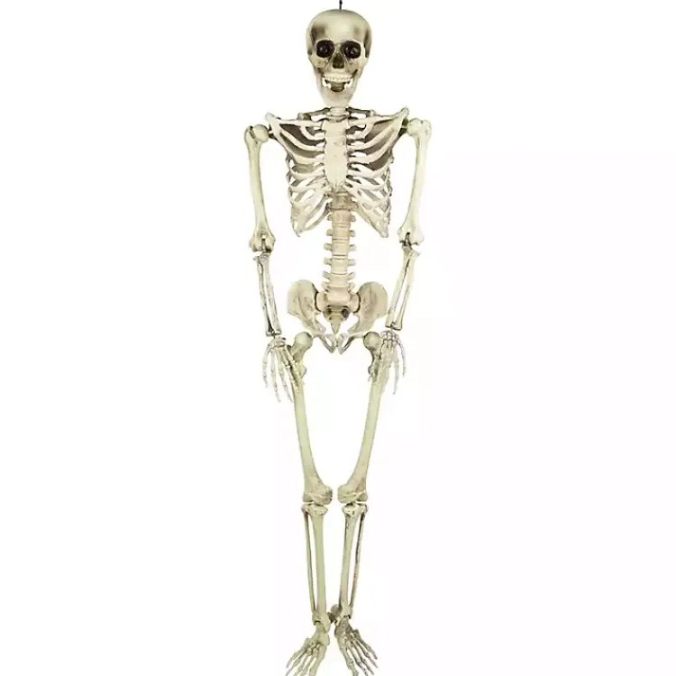 Halloween>Kirklands Home Life Size Outdoor Skeleton Decoration White
