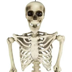 Halloween><noscript><img width=