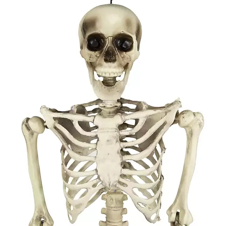 Halloween>Kirklands Home Life Size Outdoor Skeleton Decoration White