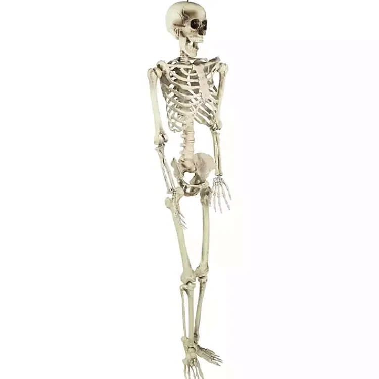 Halloween>Kirklands Home Life Size Outdoor Skeleton Decoration White