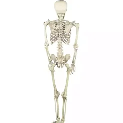 Halloween><noscript><img width=