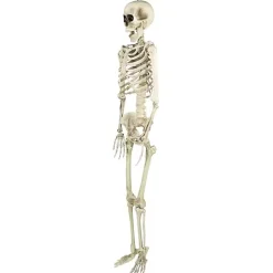 Halloween><noscript><img width=