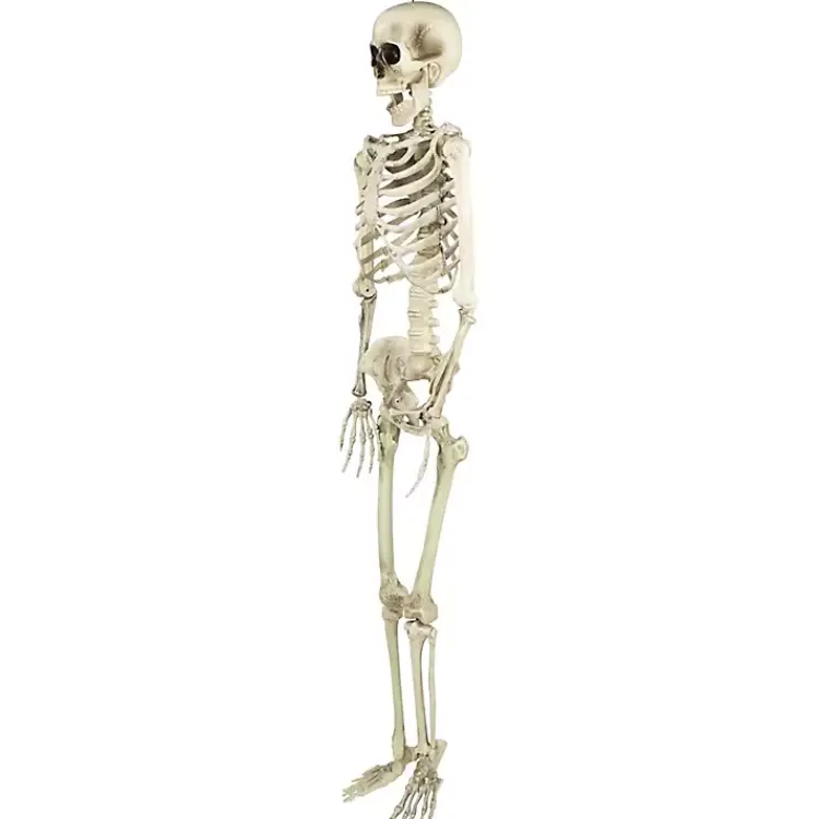 Halloween>Kirklands Home Life Size Outdoor Skeleton Decoration White