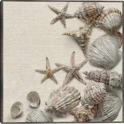 Kirklands Home Linen Shell Collection Framed Canvas Art Print Tan Online