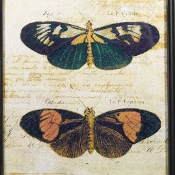 Kirklands Home Literary Butterflies Framed Art Prints, Set of 2 Online