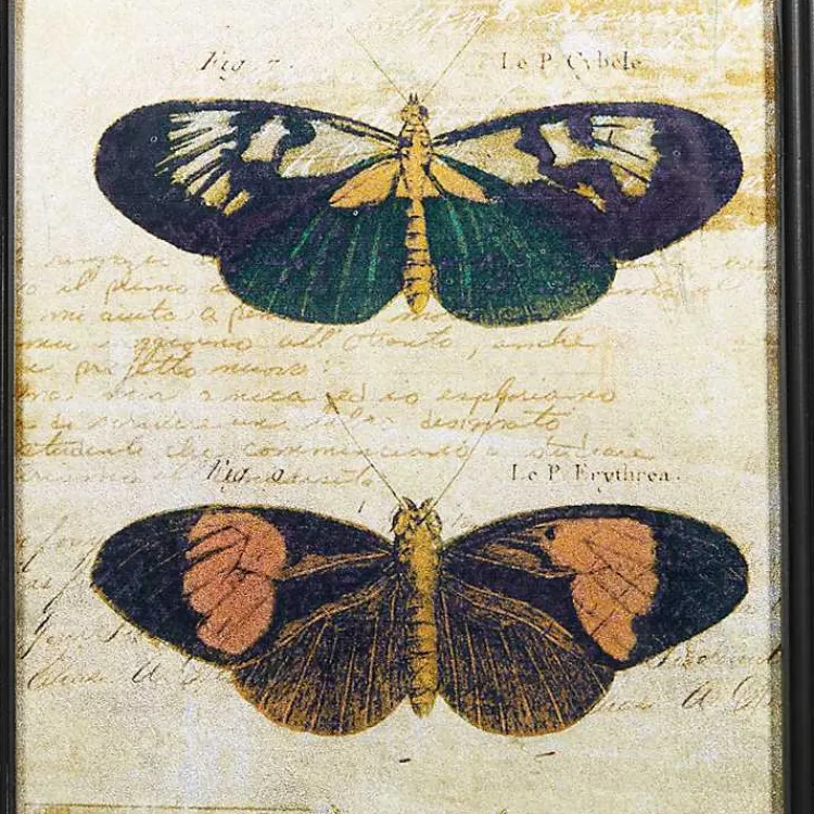 Kirklands Home Literary Butterflies Framed Art Prints, Set of 2 Online