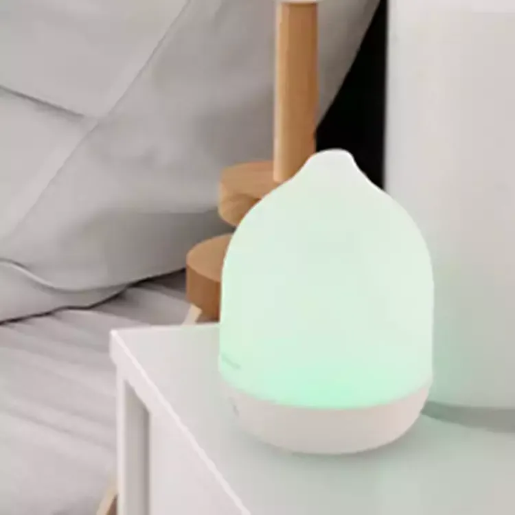 Home Fragrance>Kirklands Home Lively Essential Oils and Diffuser Gift Set