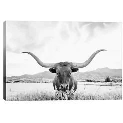 Kirklands Home Longhorn Giclee Canvas Art Print Sale