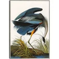 Kirklands Home Louisiana Heron Framed Canvas Art Print Multi Outlet