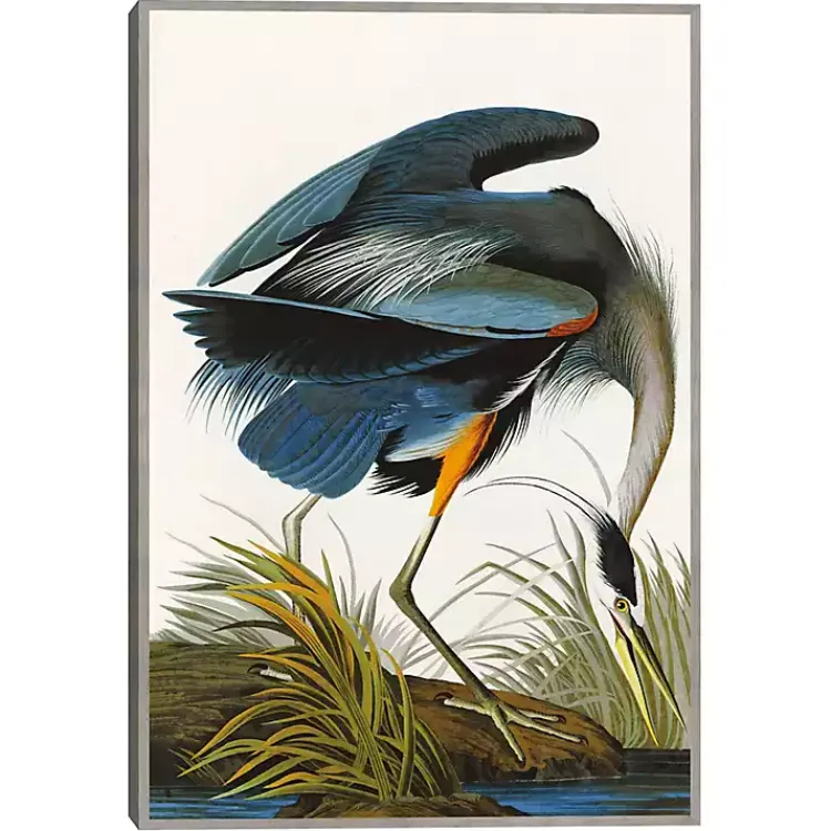Kirklands Home Louisiana Heron Framed Canvas Art Print Multi Outlet