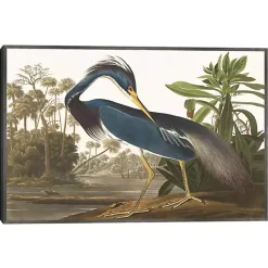 Kirklands Home Louisiana Heron Framed Canvas Art Print Discount