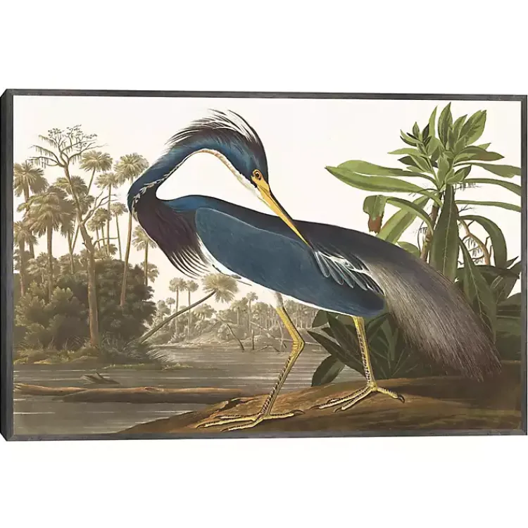 Kirklands Home Louisiana Heron Framed Canvas Art Print Discount