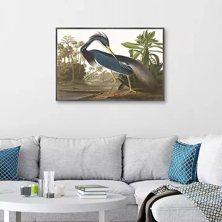 Kirklands Home Louisiana Heron Framed Canvas Art Print Discount