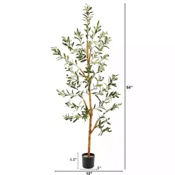 Trees & Topiaries>Kirklands Home Lucky Olive Tree in Nursery Planter, 54 in.