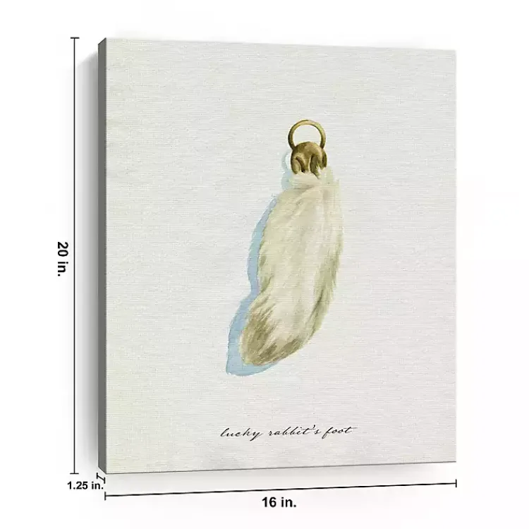 St Patricks Day Decorations>Kirklands Home Lucky Rabbit's Foot Canvas Art Print