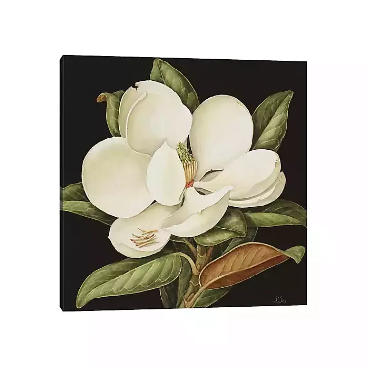 Kirklands Home Magnolia Grandiflora Canvas Art Print Online
