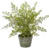 Trees & Topiaries>Kirklands Home Maiden Hair Fern in Ceramic Planter