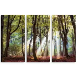 Kirklands Home Majestic Morning Canvas Art Prints, Set of 3 Green