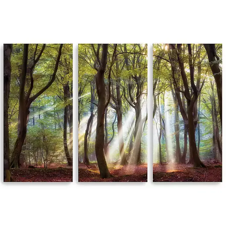 Kirklands Home Majestic Morning Canvas Art Prints, Set of 3 Green