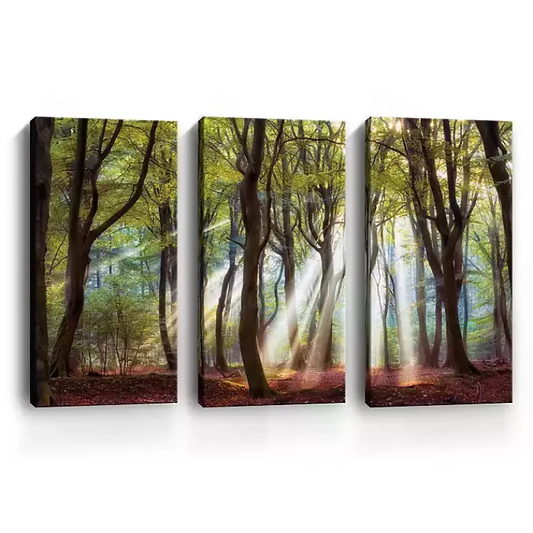 Kirklands Home Majestic Morning Canvas Art Prints, Set of 3 Green