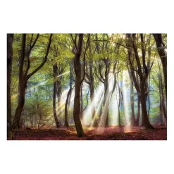 Kirklands Home Majestic Morning Giclee Canvas Art Print Multi New