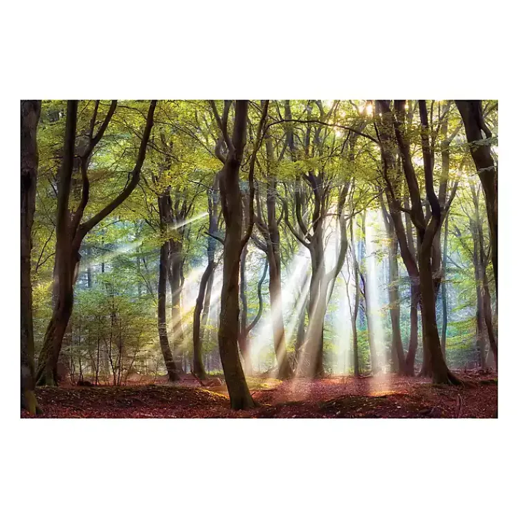 Kirklands Home Majestic Morning Giclee Canvas Art Print Multi New