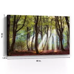 Kirklands Home Majestic Morning Giclee Canvas Art Print Multi New