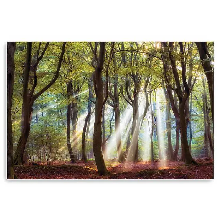Kirklands Home Majestic Morning Giclee Canvas Art Print Green Online