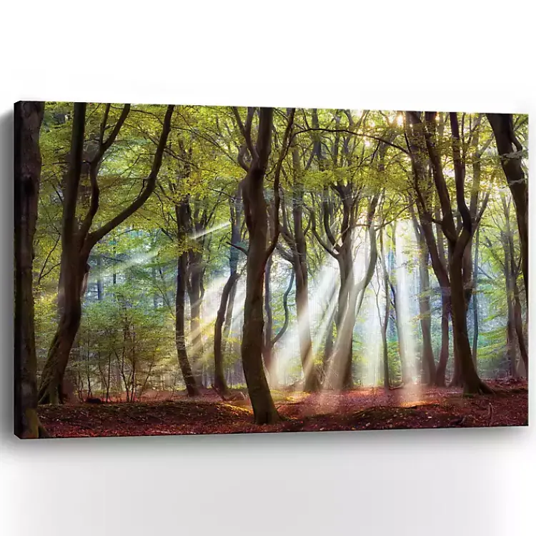Kirklands Home Majestic Morning Giclee Canvas Art Print Green Online