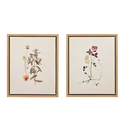 Kirklands Home Martha Stewart French Herbarium Framed Art Set Ivory Hot