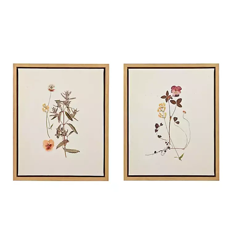 Kirklands Home Martha Stewart French Herbarium Framed Art Set Ivory Hot