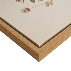 Kirklands Home Martha Stewart French Herbarium Framed Art Set Ivory Hot