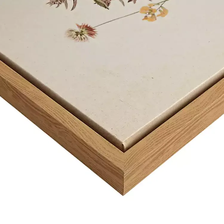 Kirklands Home Martha Stewart French Herbarium Framed Art Set Ivory Hot