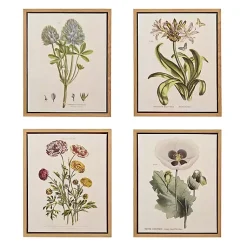 Kirklands Home Martha Stewart Herb and Floral Framed Print Set