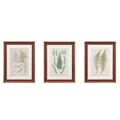 Kirklands Home Martha Stewart Lady Fern Framed Art Print Set Hot