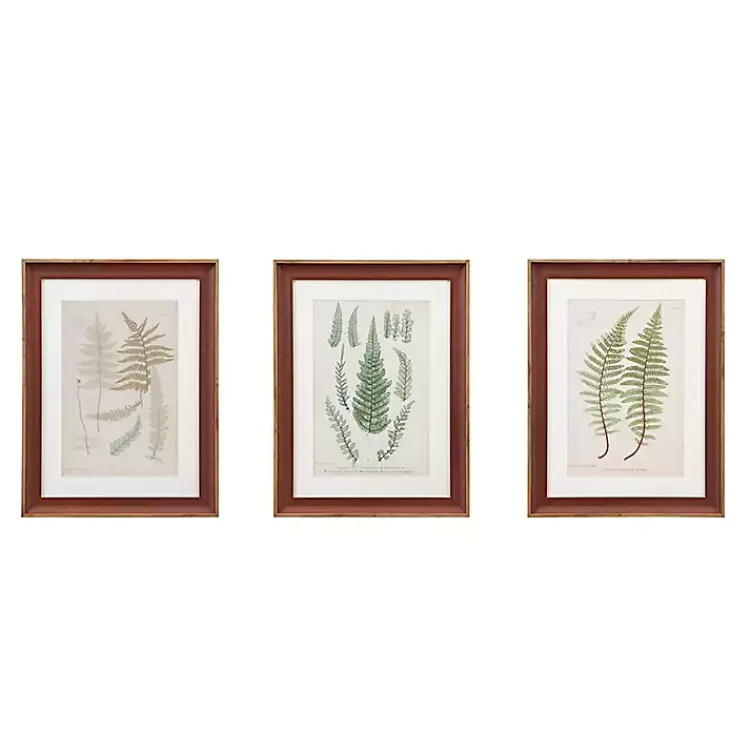 Kirklands Home Martha Stewart Lady Fern Framed Art Print Set Hot